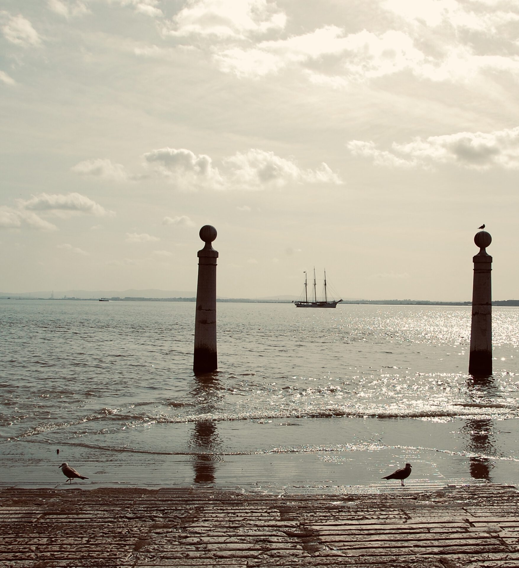Tejo Tejo