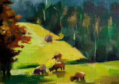 Evingsen afternoon