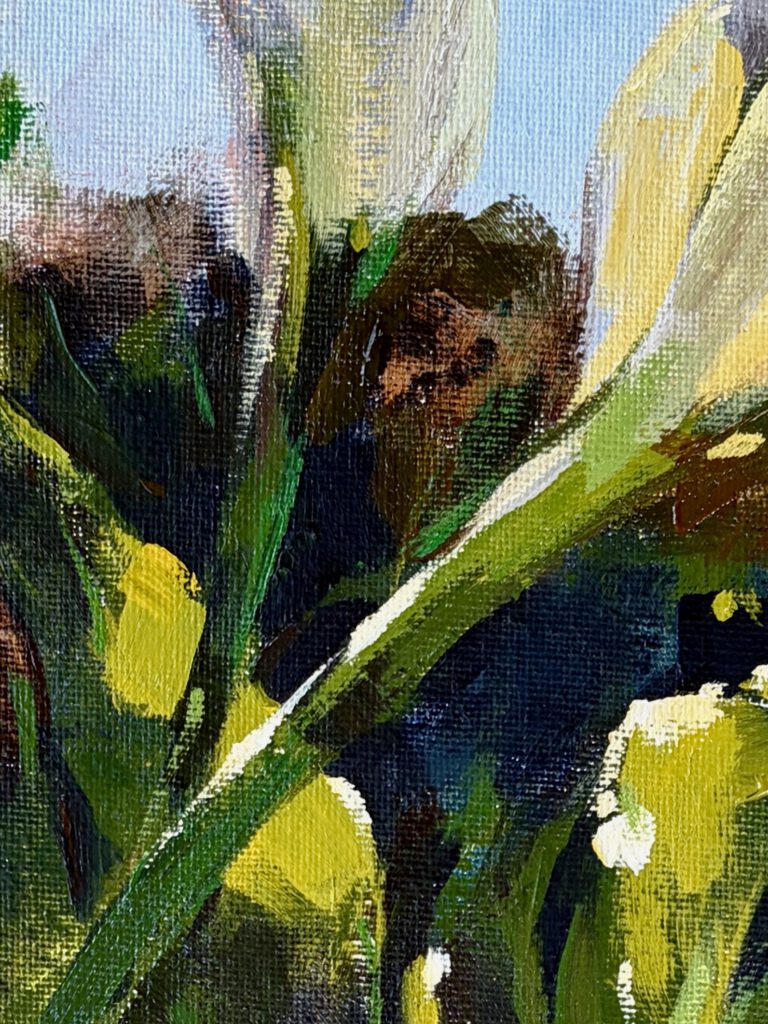 Close-up of grass and garden plants illuminated by warm morning light in the Algarve